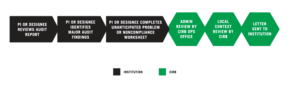 Report Audit Findings graphic
